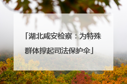 湖北咸安检察：为特殊群体撑起司法保护伞