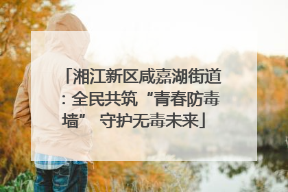 湘江新区咸嘉湖街道：全民共筑“青春防毒墙” 守护无毒未来