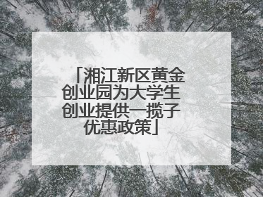 湘江新区黄金创业园为大学生创业提供一揽子优惠政策