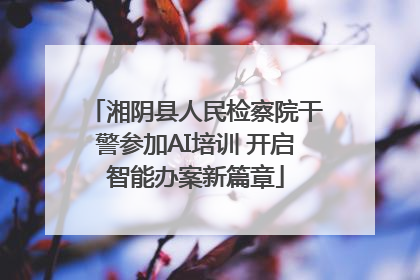 湘阴县人民检察院干警参加AI培训 开启智能办案新篇章