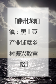 滕州龙阳镇：黑土豆产业铺就乡村振兴致富路