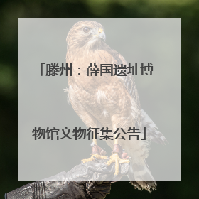 滕州：薛国遗址博物馆文物征集公告
