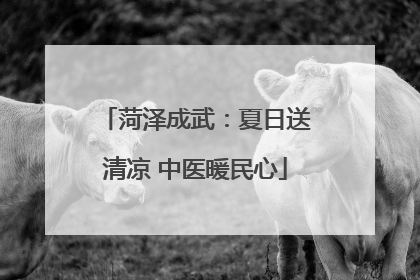 菏泽成武：夏日送清凉 中医暖民心