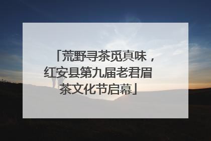 荒野寻茶觅真味，红安县第九届老君眉茶文化节启幕
