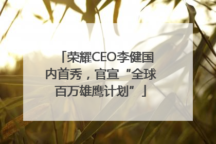 荣耀CEO李健国内首秀，官宣“全球百万雄鹰计划”