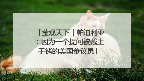莹观天下｜帕迪利亚：因为一个提问被戴上手铐的美国参议员