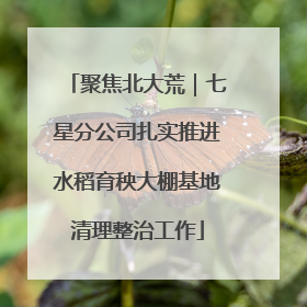 聚焦北大荒｜七星分公司扎实推进水稻育秧大棚基地清理整治工作