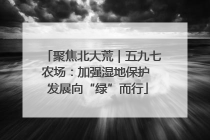 聚焦北大荒｜五九七农场：加强湿地保护 发展向“绿”而行
