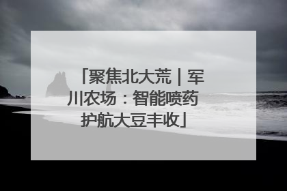 聚焦北大荒｜军川农场：智能喷药护航大豆丰收