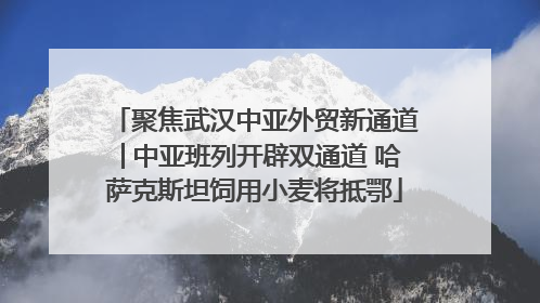 聚焦武汉中亚外贸新通道│中亚班列开辟双通道 哈萨克斯坦饲用小麦将抵鄂