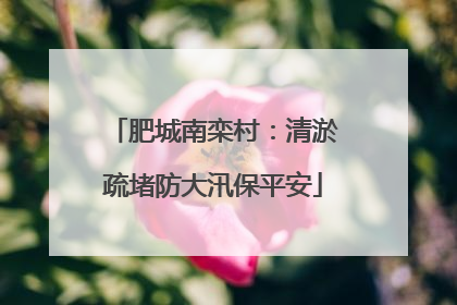 肥城南栾村：清淤疏堵防大汛保平安