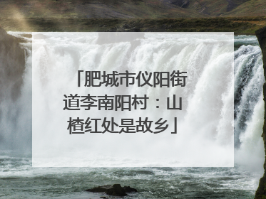 肥城市仪阳街道李南阳村:山楂红处是故乡