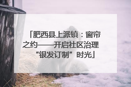 肥西县上派镇：窗帘之约——开启社区治理“银发订制”时光