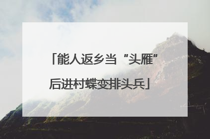 能人返乡当“头雁” 后进村蝶变排头兵