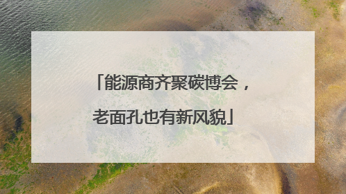 能源商齐聚碳博会，老面孔也有新风貌