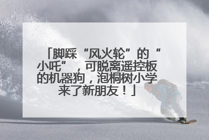 脚踩“风火轮”的“小吒”，可脱离遥控板的机器狗，泡桐树小学来了新朋友！