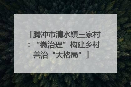 腾冲市清水镇三家村：“微治理”构建乡村善治“大格局”