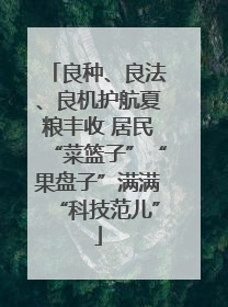 良种、良法、良机护航夏粮丰收 居民“菜篮子”“果盘子”满满“科技范儿”