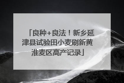 良种+良法！新乡延津县试验田小麦刷新黄淮麦区高产记录