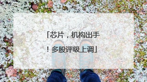 芯片，机构出手！多股评级上调