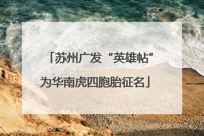 苏州广发“英雄帖”为华南虎四胞胎征名