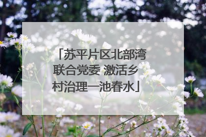 苏平片区北部湾联合党委 激活乡村治理一池春水