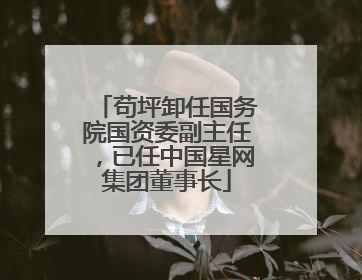 苟坪卸任国务院国资委副主任，已任中国星网集团董事长