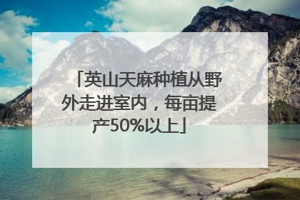 英山天麻种植从野外走进室内，每亩提产50%以上