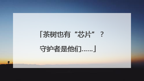 茶树也有“芯片”？守护者是他们……