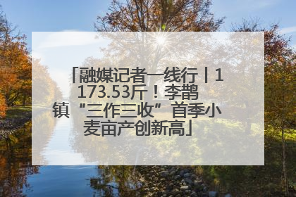 融媒记者一线行丨1173.53斤！李鹊镇“三作三收”首季小麦亩产创新高