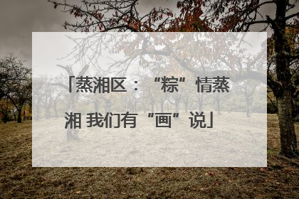 蒸湘区：“粽”情蒸湘 我们有“画”说
