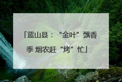 蓝山县：“金叶”飘香季 烟农赶“烤”忙