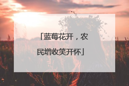 蓝莓花开，农民增收笑开怀