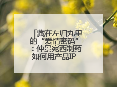 藏在左归丸里的“爱情密码”：仲景宛西制药如何用产品IP讲好品牌故事