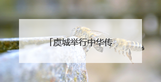 虞城举行中华传统文化（戏曲·非遗）进校园活动