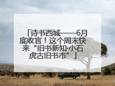 诗书西城——6月底收官！这个周末快来“旧书新知·小石虎古旧书市”