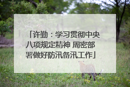 许勤：学习贯彻中央八项规定精神 周密部署做好防汛备汛工作