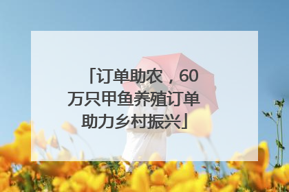 订单助农，60万只甲鱼养殖订单助力乡村振兴