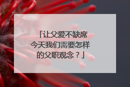 让父爱不缺席 今天我们需要怎样的父职观念？