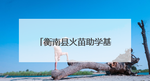 衡南县火苗助学基金会助力城关学子“坐”享新课堂