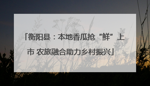 衡阳县：本地香瓜抢“鲜”上市 农旅融合助力乡村振兴