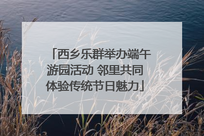 西乡乐群举办端午游园活动 邻里共同体验传统节日魅力