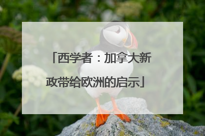 西学者：加拿大新政带给欧洲的启示