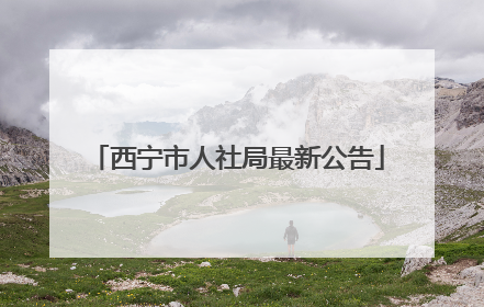 西宁市人社局最新公告