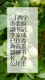 西宁市委原副书记李家成已任青海省委副秘书长、办公厅主任