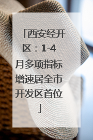 西安经开区：1-4月多项指标增速居全市开发区首位