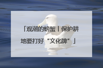观潮的螃蟹丨保护耕地要打好“文化牌”