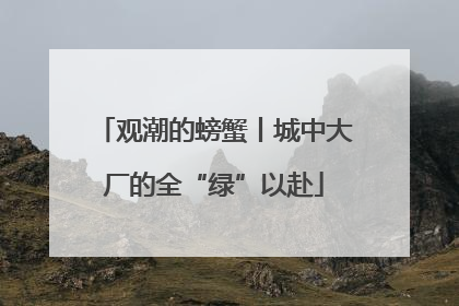 观潮的螃蟹丨城中大厂的全“绿”以赴