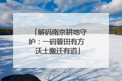 解码南京耕地守护：一码管田有方 沃土搬迁有道