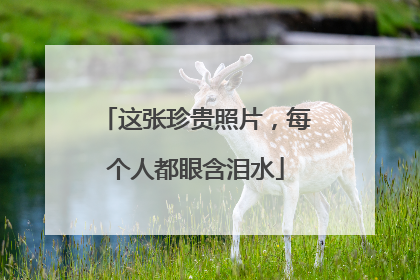这张珍贵照片，每个人都眼含泪水